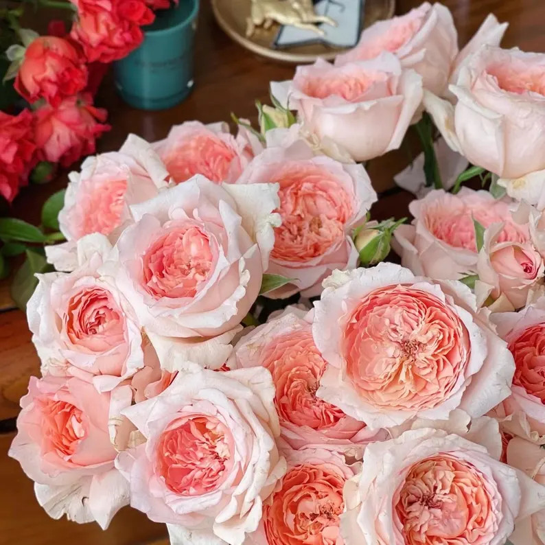 Japanese Rose. Flow. 涌流 - Etsy | Etsy (US)