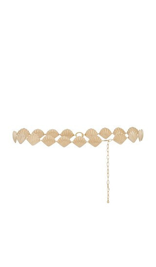 Ettika Shell Belly Chain in Metallic Gold. | Revolve Clothing (Global)