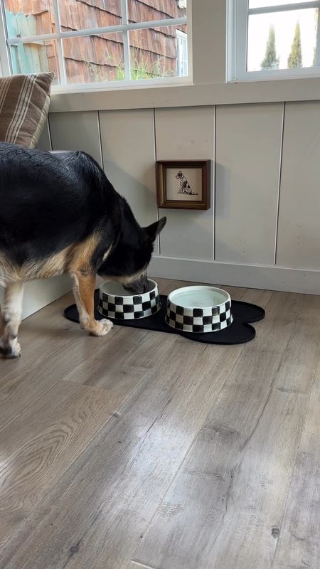 Dog bowls, pet bowls, checkered bowls, mat