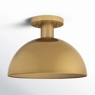 Darrah 1-Light Ceiling Light In Matte Black With Natural Brass | Wayfair North America
