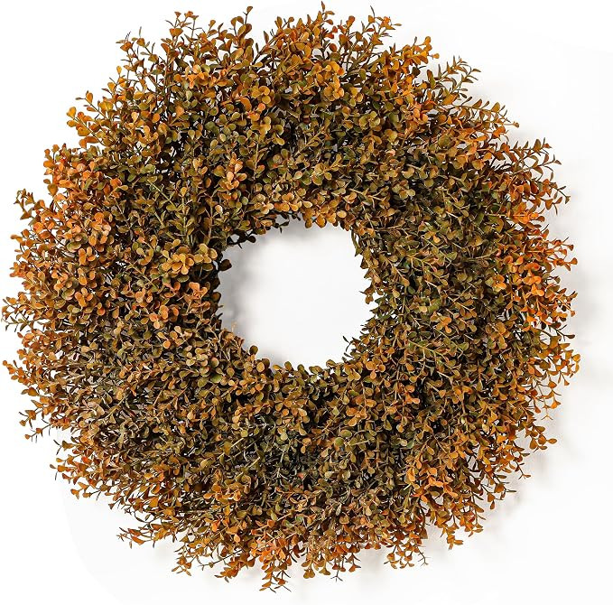 26'' Lush Fall Wreath for Front Door, Faux Autumn Boxwood Wreath Outdoor | Large Artificial Boxwo... | Amazon (US)