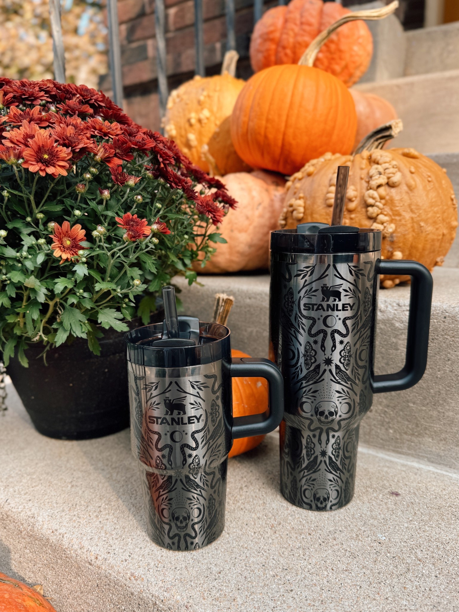 NEW Halloween Stanley Tumblers in Deadly Damask! This is the 40 oz tumbler that I love to use for water and 20 oz perfect for iced coffee! #stanleypartner @stanley_brand 