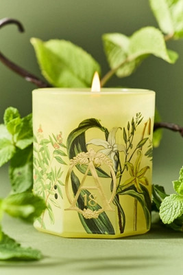 Apothecary 18 Woody Sandalwood & Vanilla Glass Candle | Anthropologie (US)