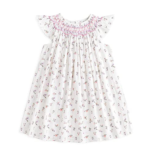 Simplee kids Baby Girl Smocked Dress Summer Casual Short Sleeve Dresses Floral Print Sundress Pri... | Amazon (US)