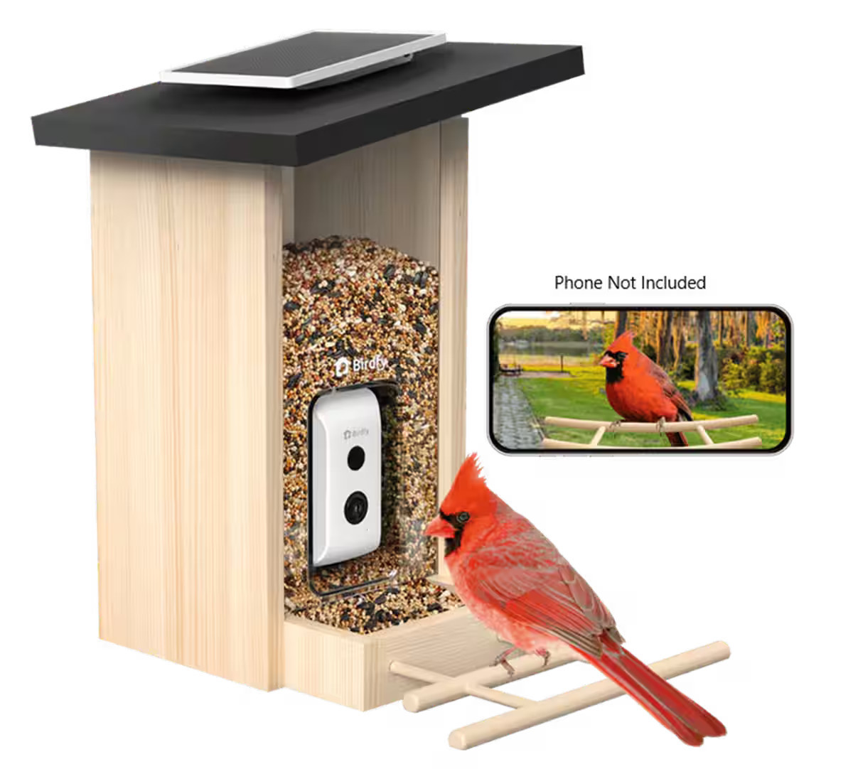 Birdfy Smart Bird Feeder with Camera, Bird Watching Camera with Solar Panel, AI Identify 6000+ Species - Ebony | Best Buy U.S.