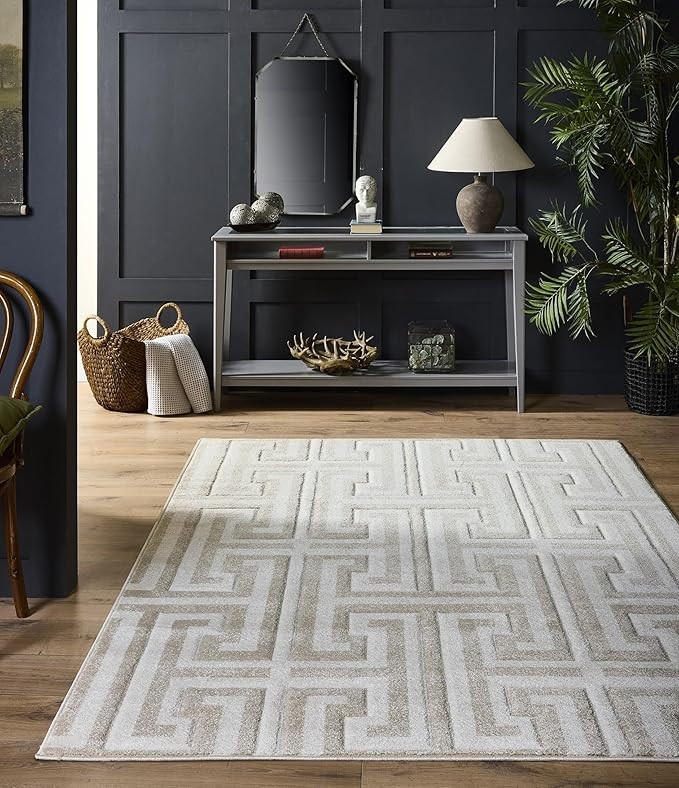 Greek Key Design Rug for Living Room Bedroom Kitchen Carpet Elegant Durable Non-Shedding Area Rug... | Amazon (US)