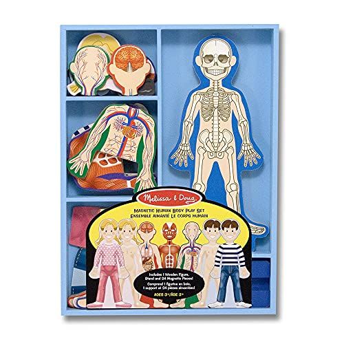 Melissa & Doug Magnetic Human Body Anatomy Play Set With 24 Magnetic Pieces and Storage Tray | Amazon (US)