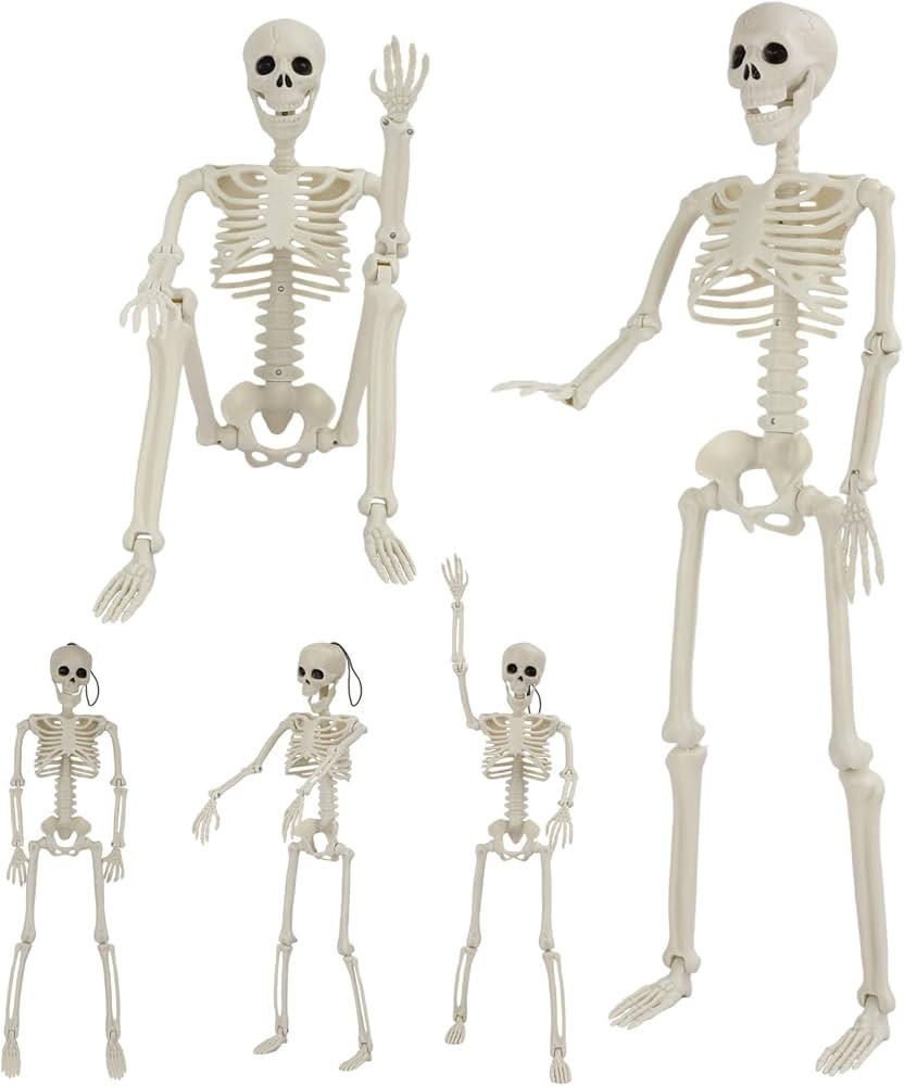 5 Pack Halloween Skeleton Decorations, 2 Pack 36" Full Body Joints Posable Skeleton with 3 Pack 1... | Amazon (US)