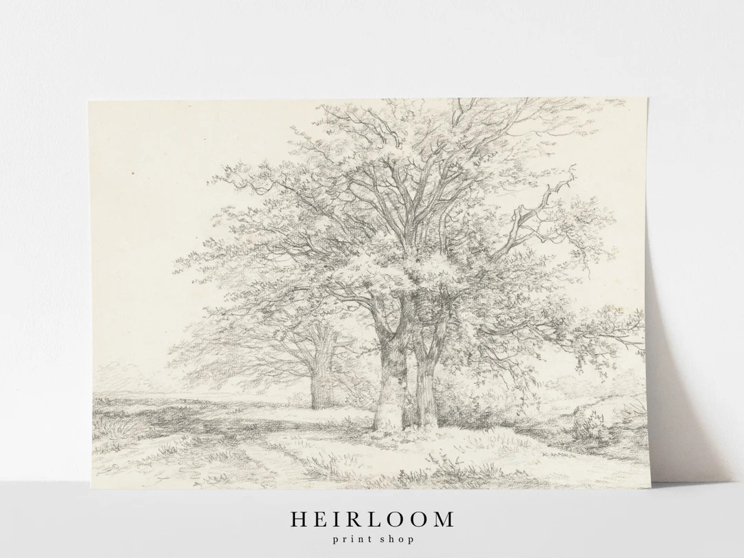 Vintage Drawing  Tree Sketch  FINE ART PRINTS  Canvas Print - Etsy | Etsy (US)