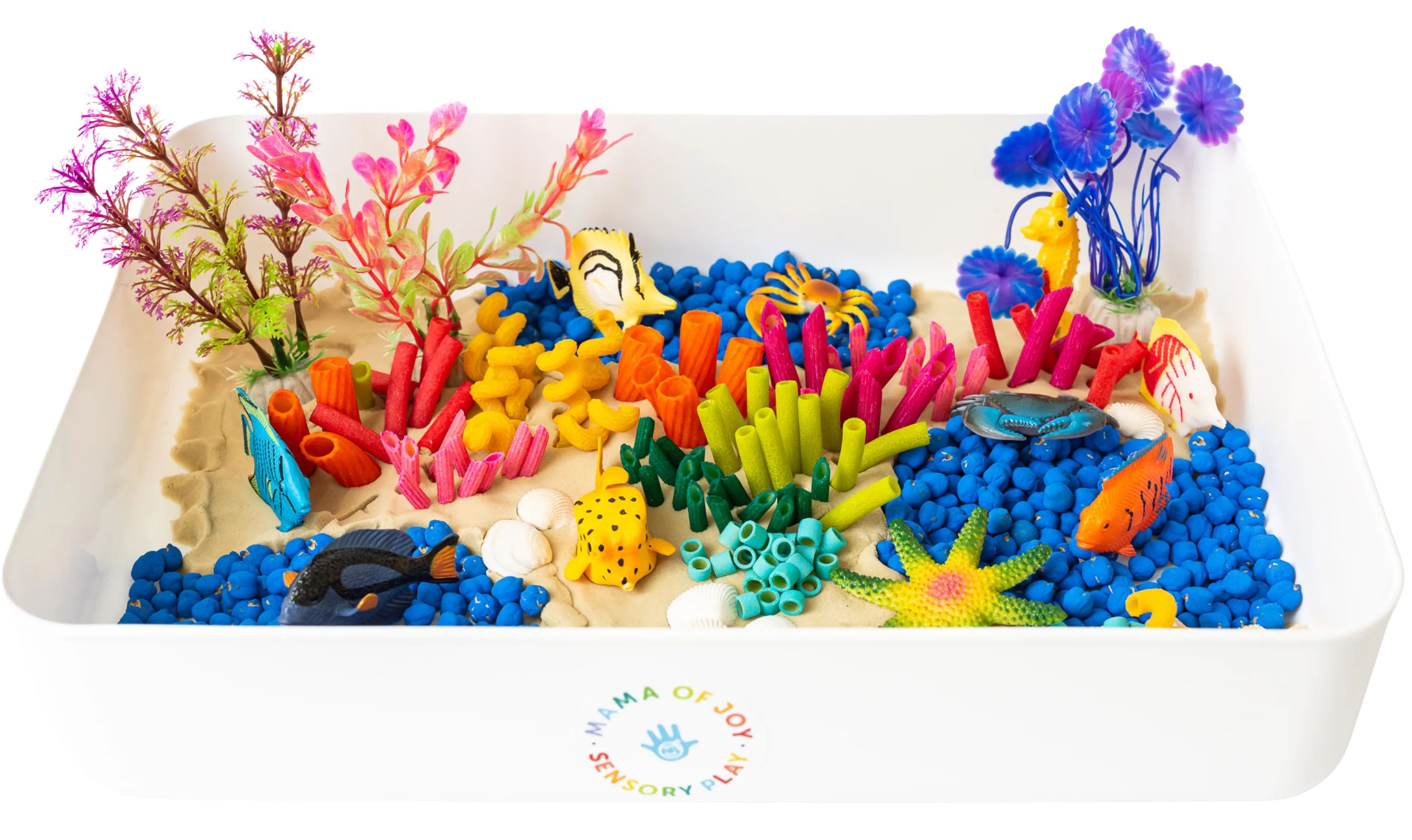 Coral Reef Sensory Bin | Mama of Joy Sensory Play