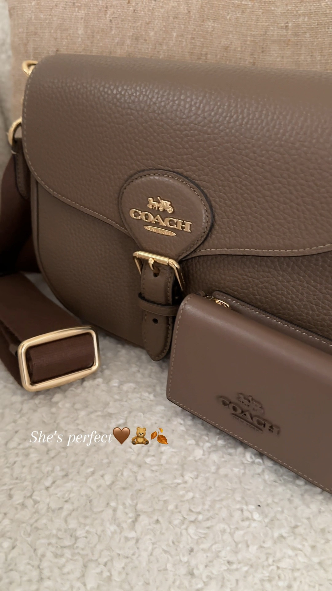 This bag is so practical and stylish perfect for fall🤎🧸🍂

#LTKVideo #LTKStyleTip