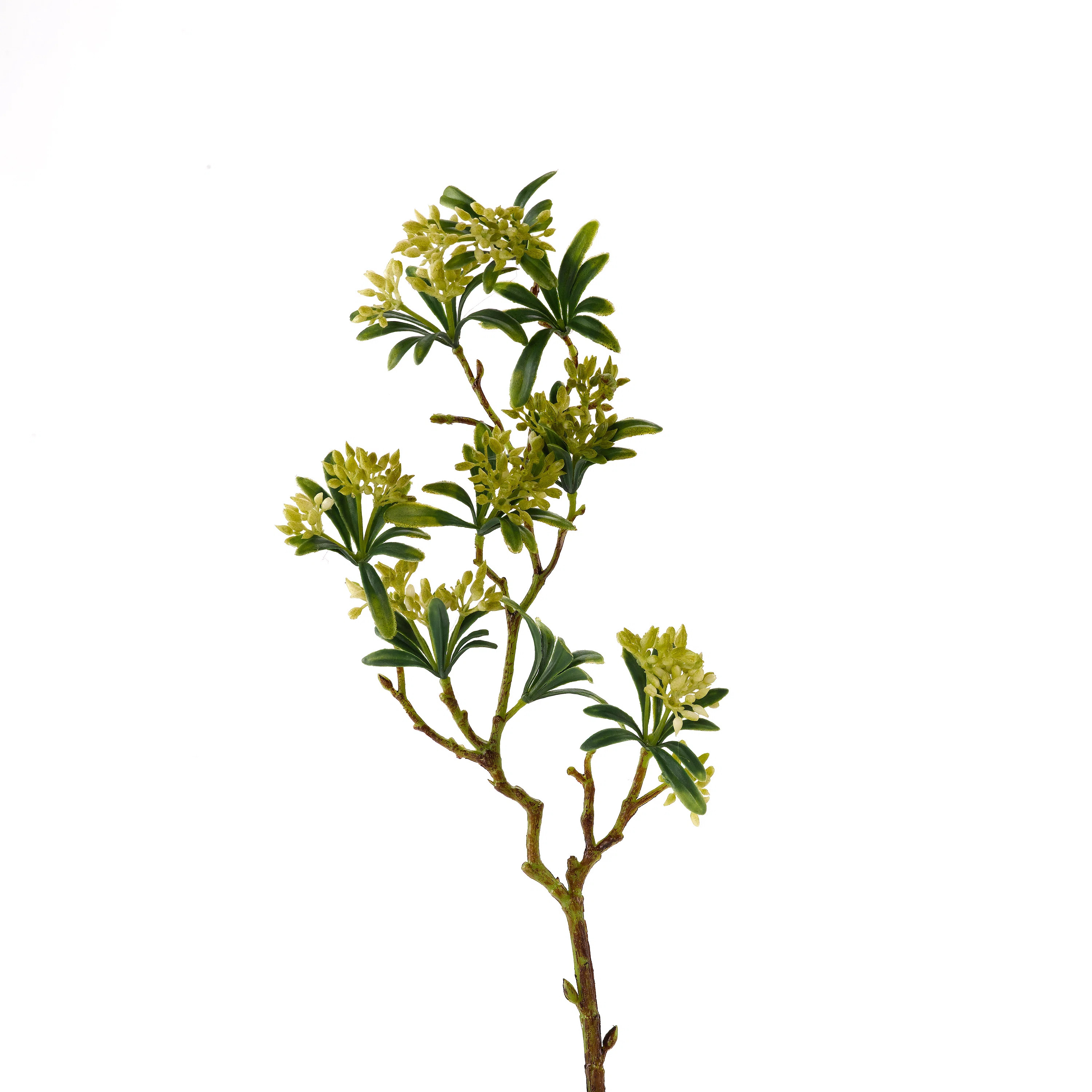 Bud Spray Arrangement (Set of 3) | Wayfair North America