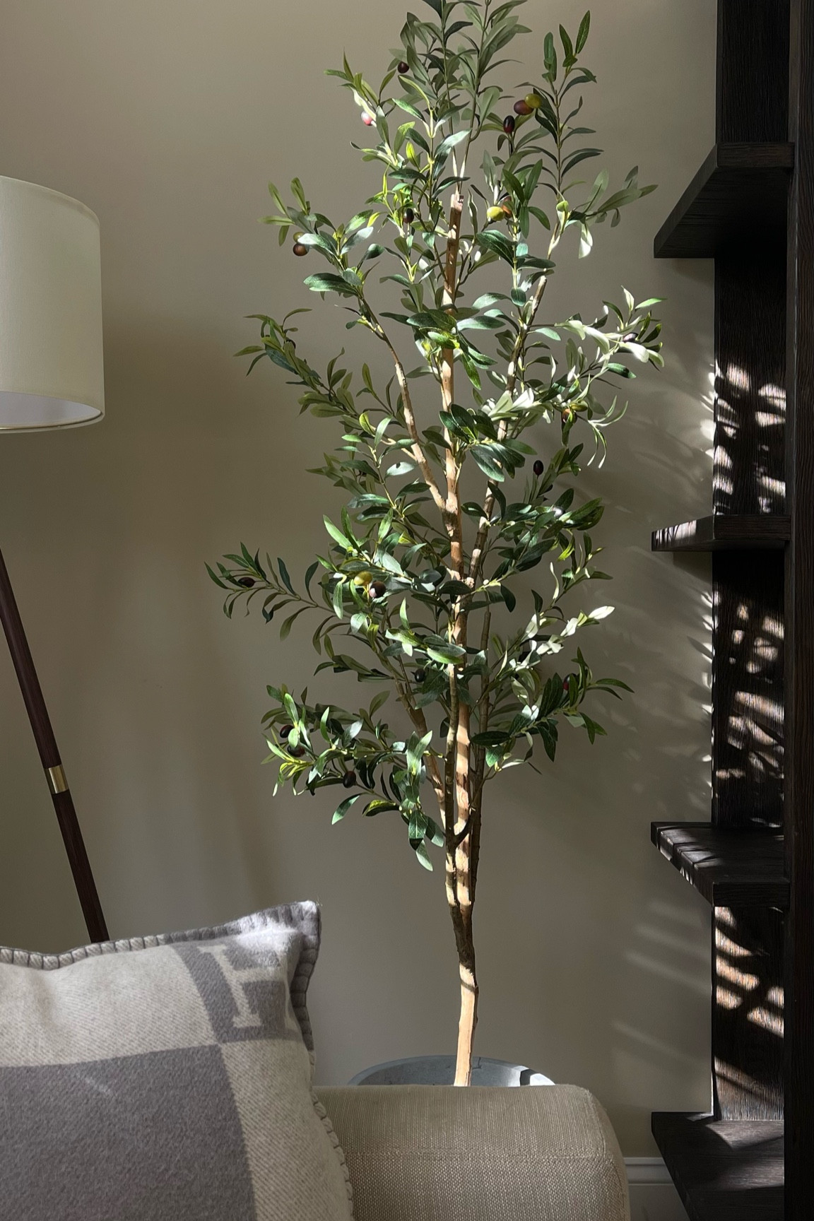 Amazon Prime Big Deal Days early deals on products I love including my 6ft artificial olive tree (I bought multiple!) and my modern concrete planter sets. 

This olive tree is under $60 for a 6ft tree- if you want to get an olive tree or add more to rooms in your room I love this for the price and quality. Finish the look with the viral RH cement planter dupes. 

Amazon deals // Amazon home // modern planters // designer inspired planters // faux olive tree // faux olive tree in modern pot

#LTKhome #LTKsalealert #LTKxPrime