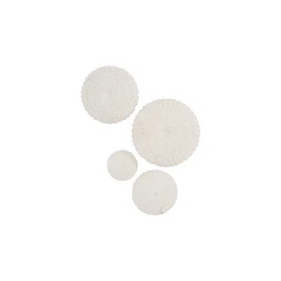 Sea Urchin Wall Art, Set Of 4 | Wayfair North America