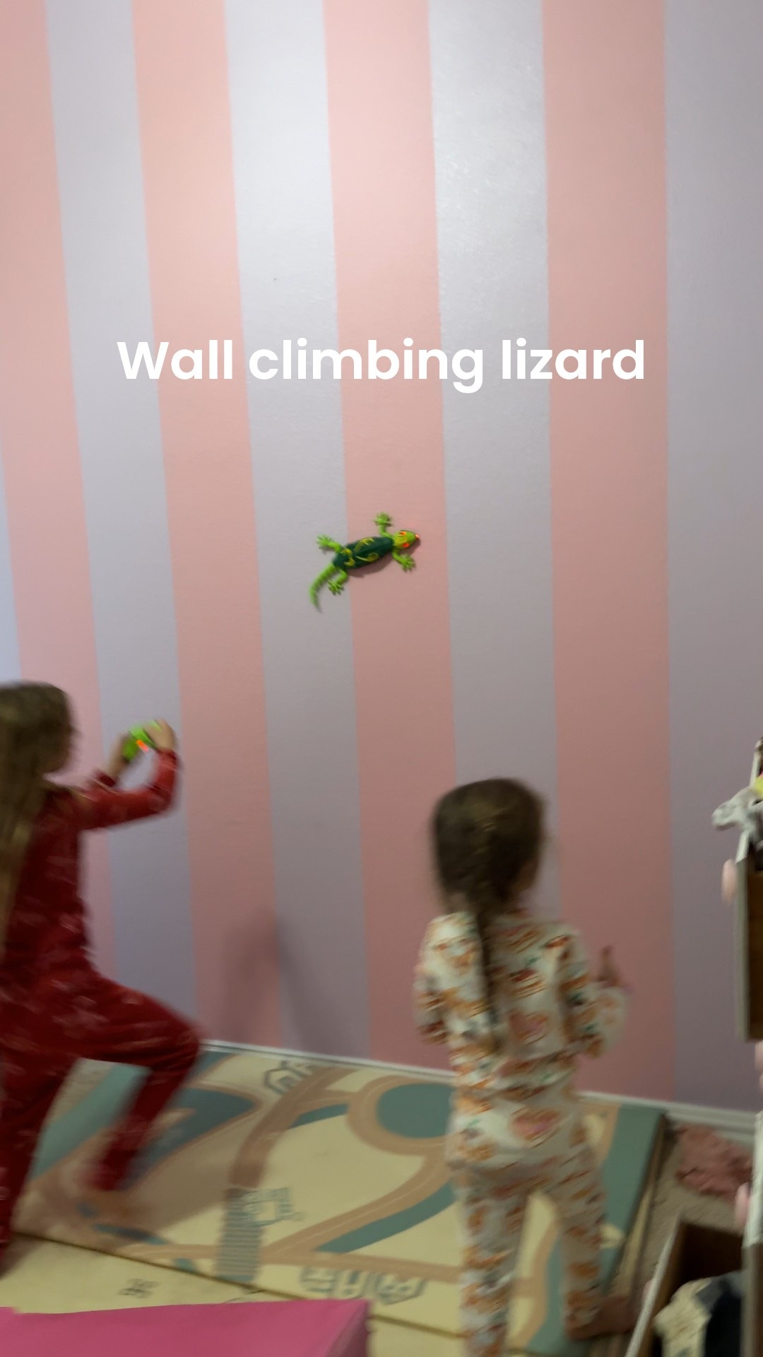 Wall climbing lizard was such a hit! 