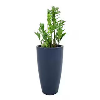 Rain Forest 43 in. Tall Cobalt Blue Verona Plastic Planter R.0200.064.110.104 - The Home Depot | The Home Depot