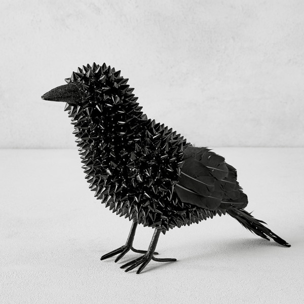 Spiked Raven | Z Gallerie
