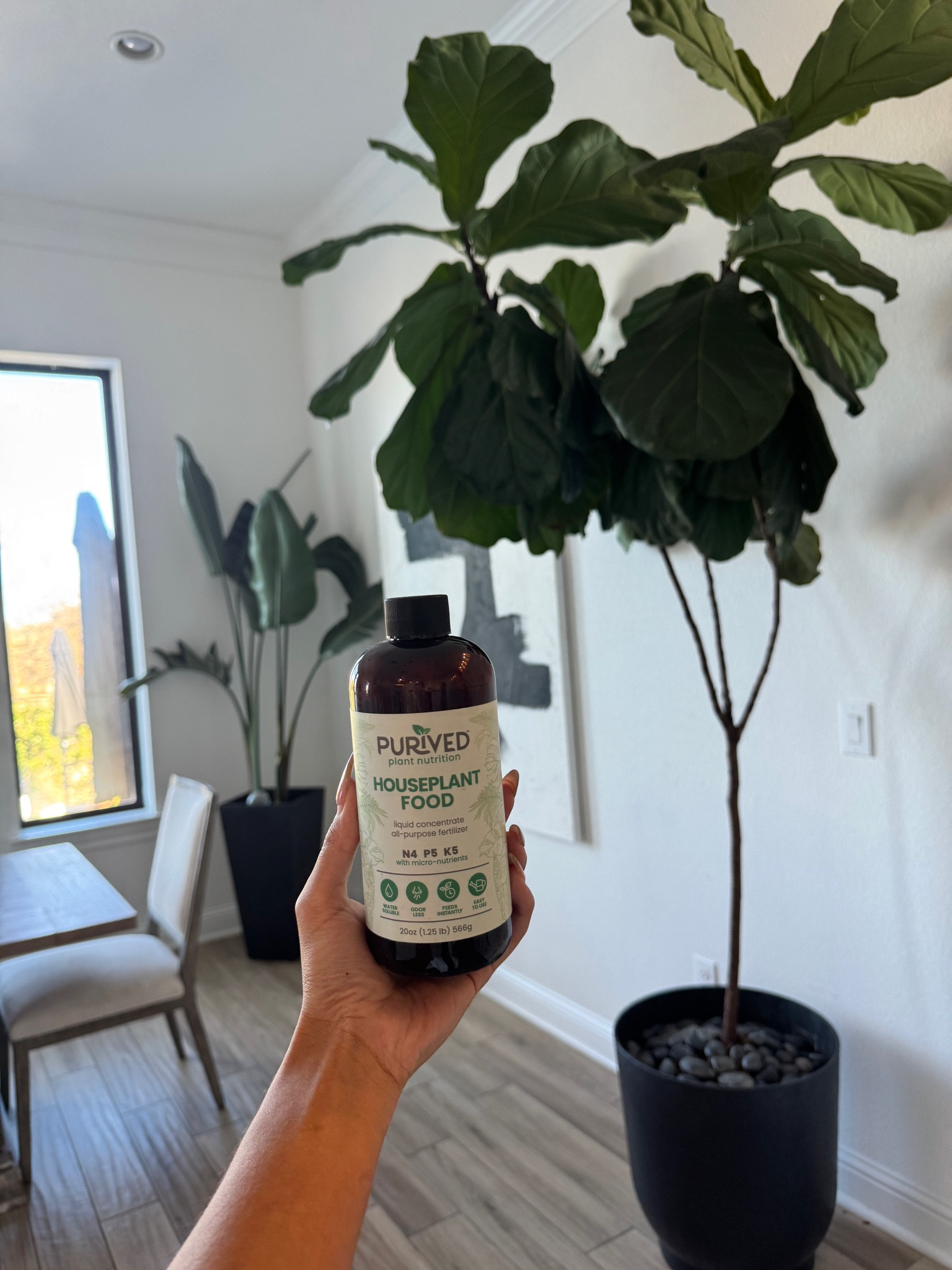 I swear this stuff is the only thing keeping my house plants alive! I do not have a green thumb but this stuff really works!

#LTKFindsUnder50 #LTKSeasonal #LTKHome