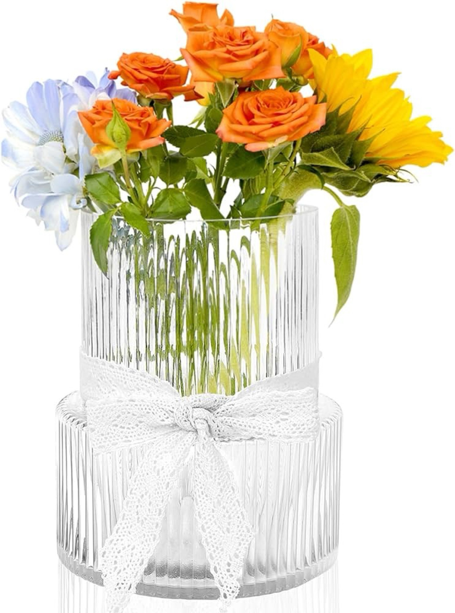 Amazon ribbed vase

#LTKhome #LTKGiftGuide