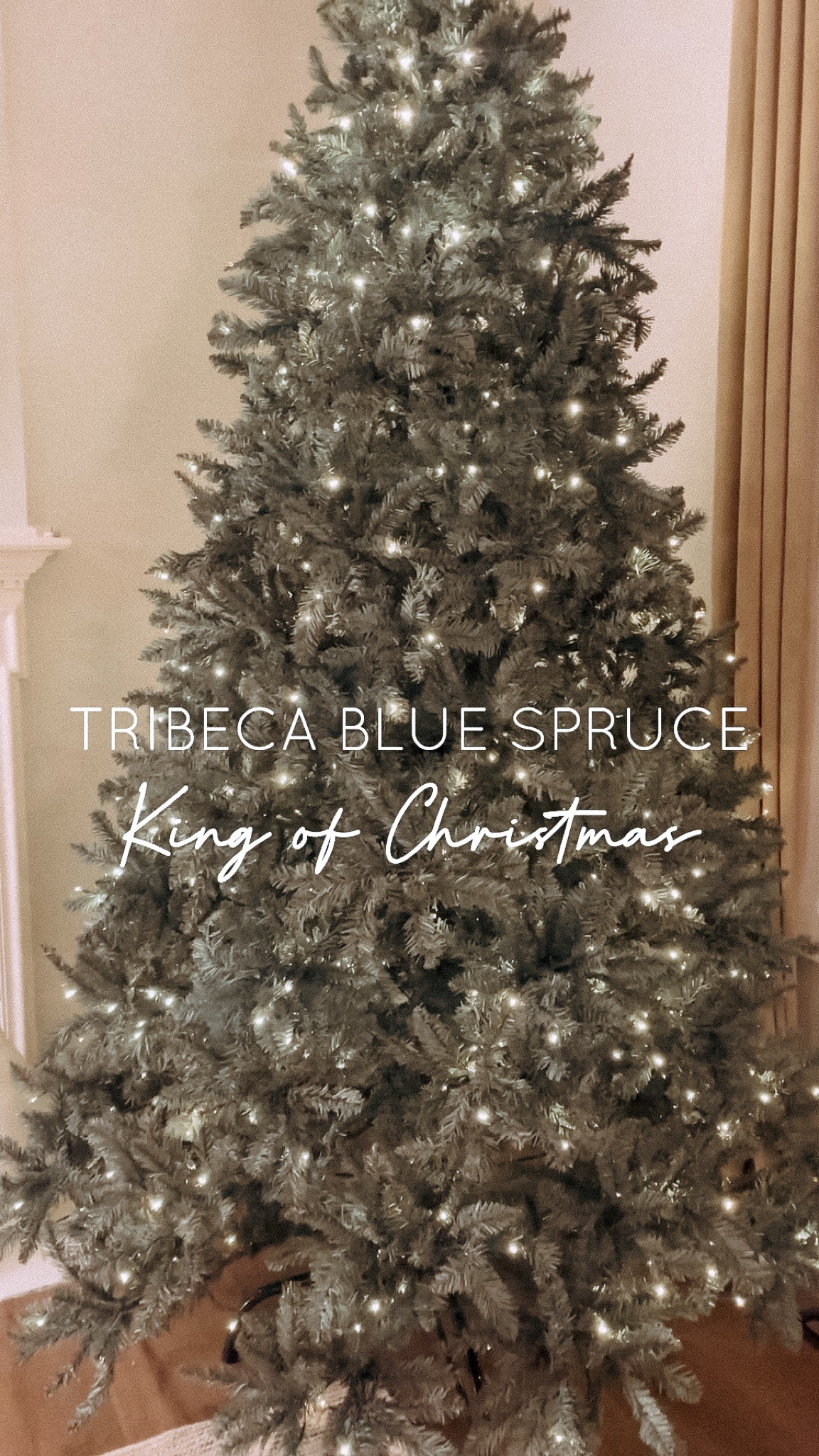 Tribeca Blue Spruce!

#LTKSeasonal #LTKfamily #LTKhome