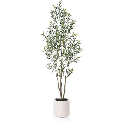 6 Ft Tall Fake Olive Trees For Indoor, Faux Olive Silk Tree, Large Olive Plants With White Planter For Home Decor And Housewarming Gift, 1 Pack | SHEIN