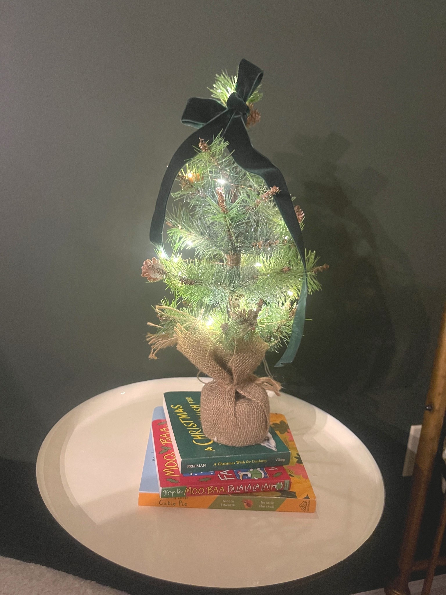 decorating my baby boys nursery for the holidays! Some twinkle lights and Christmas books make it so fun. Here are some book ideas if you have any Littles in your life! 

#LTKGiftGuide #LTKBaby #LTKHoliday