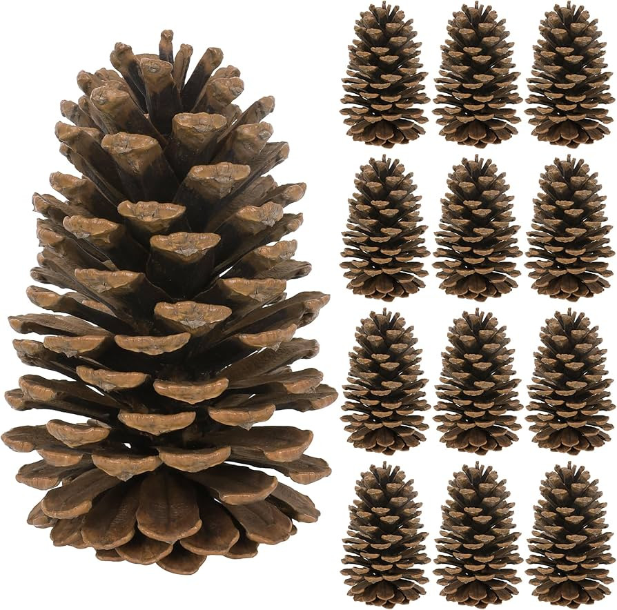 12PCS Large Pine Cones, 3.93-5.51 Inches Tall Pinecones Bulk, Natural Pine Cones for Craft Home A... | Amazon (US)