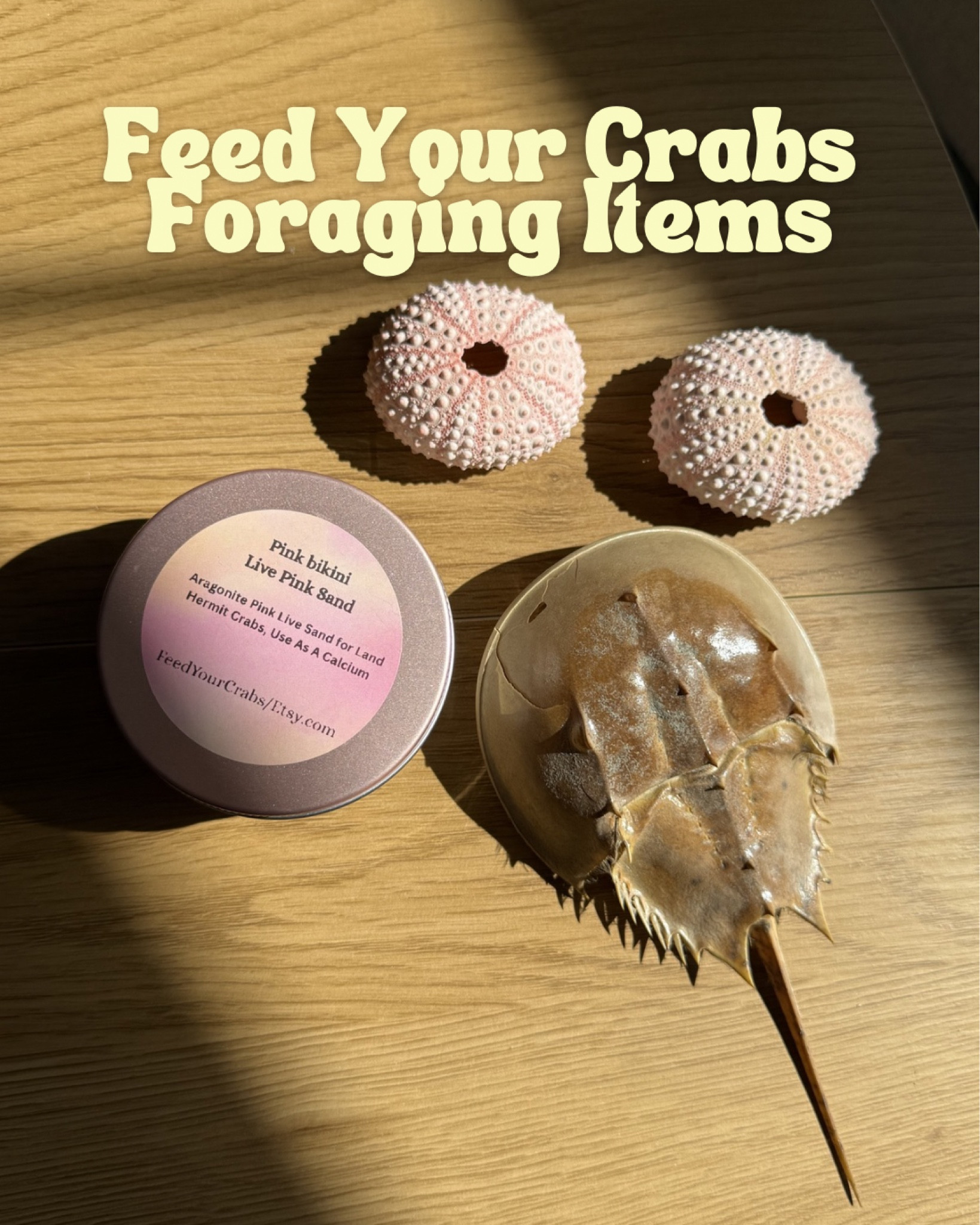 Feed Your Crabs foraging items