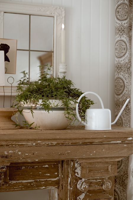 A cozy mantel moment with a happy plant & a happy watering can 🙌🏼🪴🤍

#LTKFind #LTKSeasonal #LTKhome