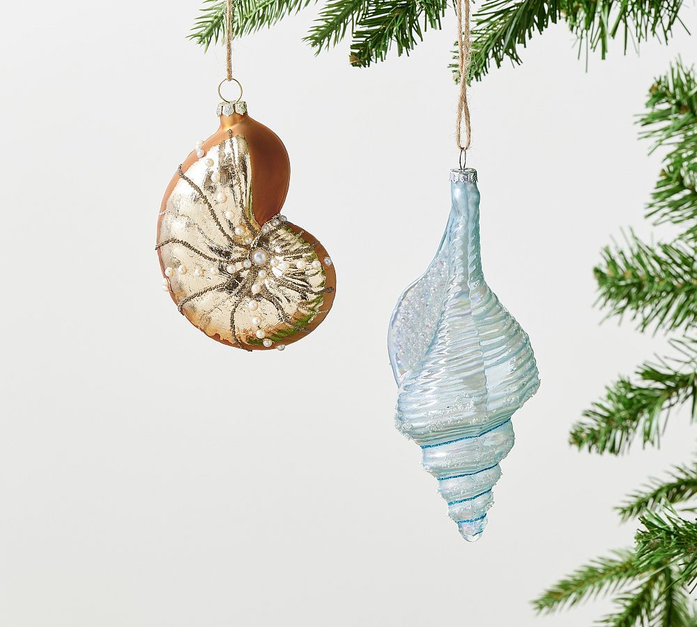 Shell Ornaments | Pottery Barn (US)