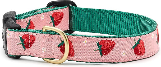 Up Country Strawberry Fields Pattern (Strawberry Fields Dog Collar, Large (15 to 21 inches) 1 inc... | Amazon (US)