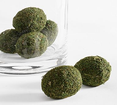 Moss Egg Vase Filler - Set of 6 | Pottery Barn (US)