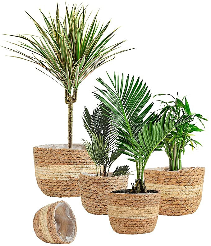 HANKRSSTOP 5 Size Seagrass Plant Basket for Indoor Outdoor Plant,Natural Plant Basket with Plasti... | Amazon (US)