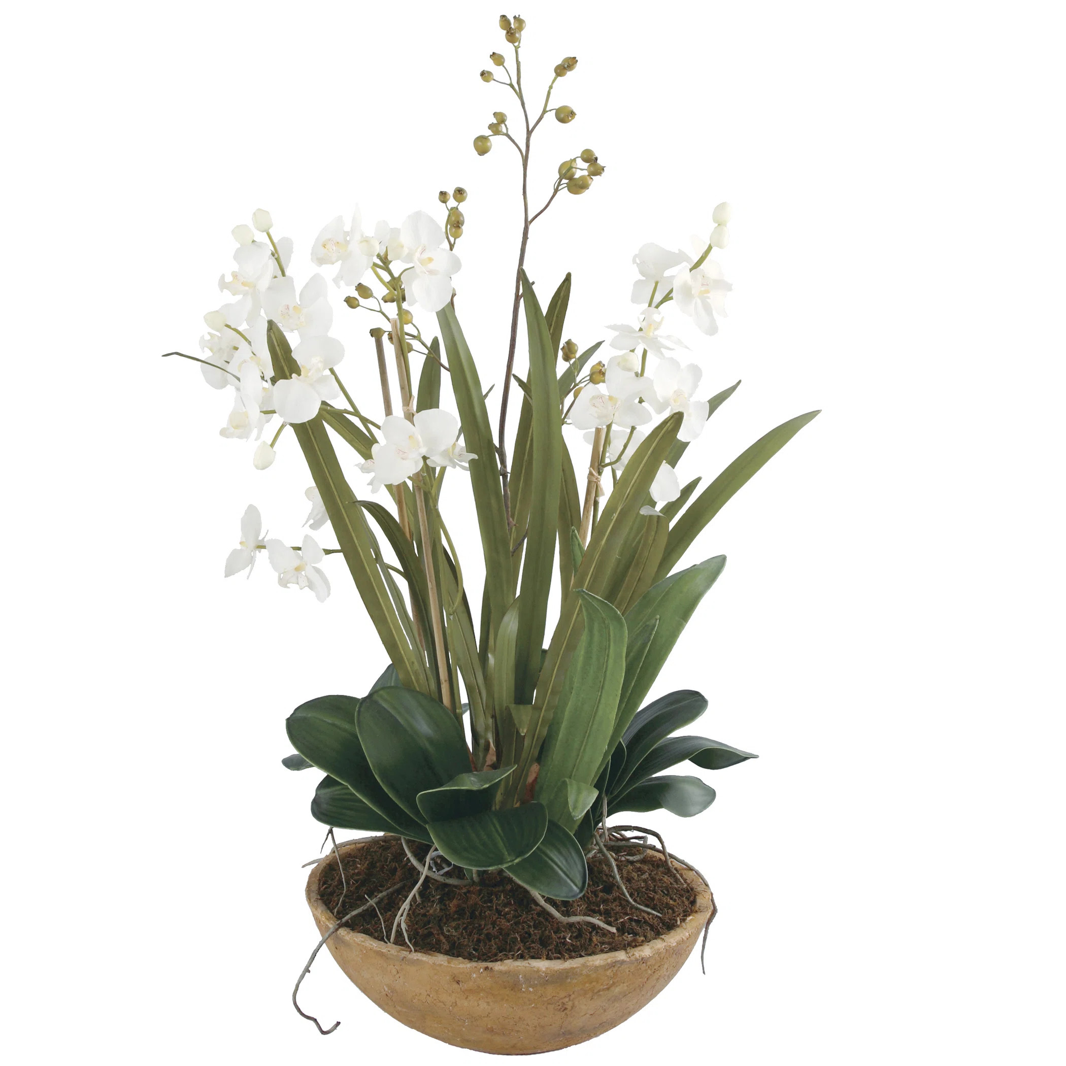 Uttermost Moth Orchid Desk Top Plant in Pot & Reviews | Wayfair | Wayfair North America