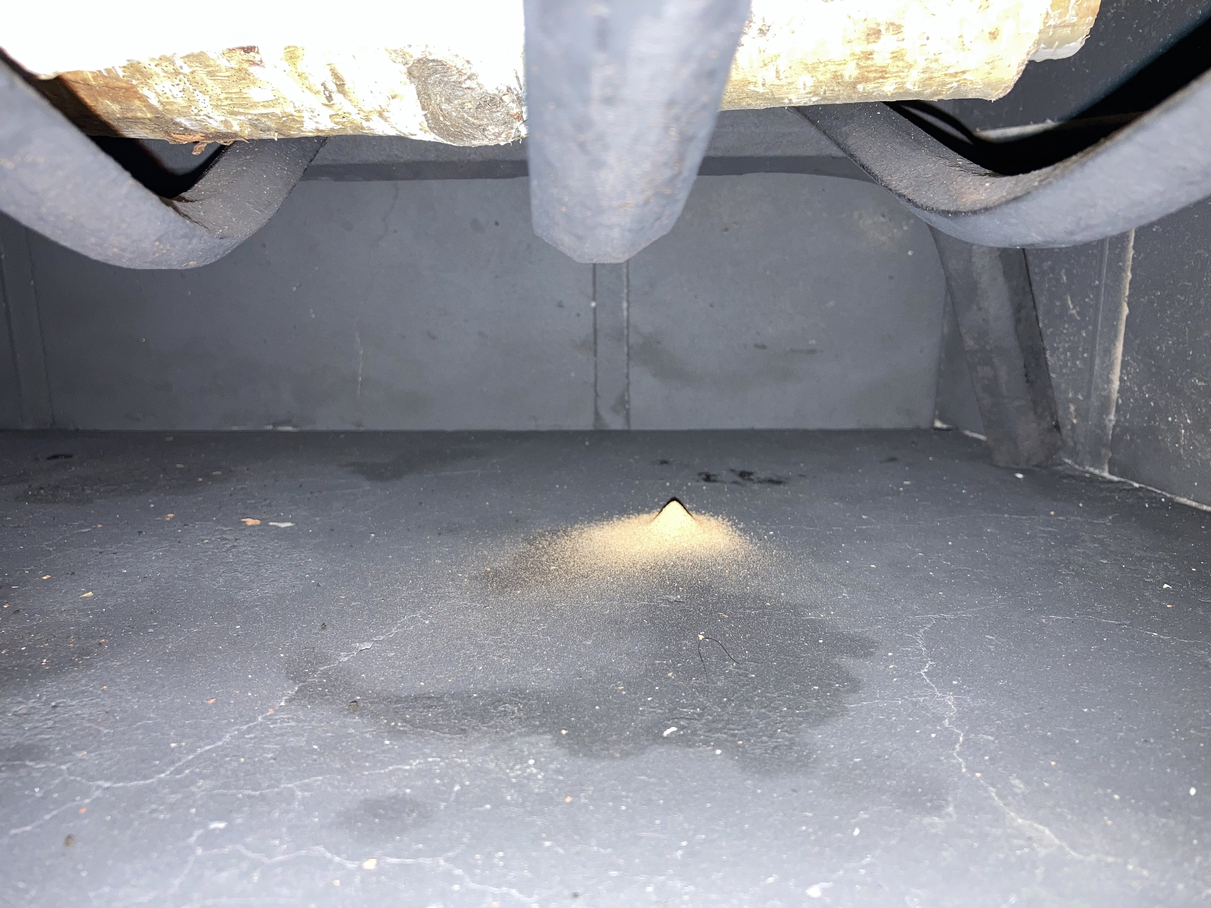 Kingcraft 6 Pack Small Birch Logs for Fireplace Unfinished Wood Crafts DIY Home Decorative Burnin... | Amazon (US)