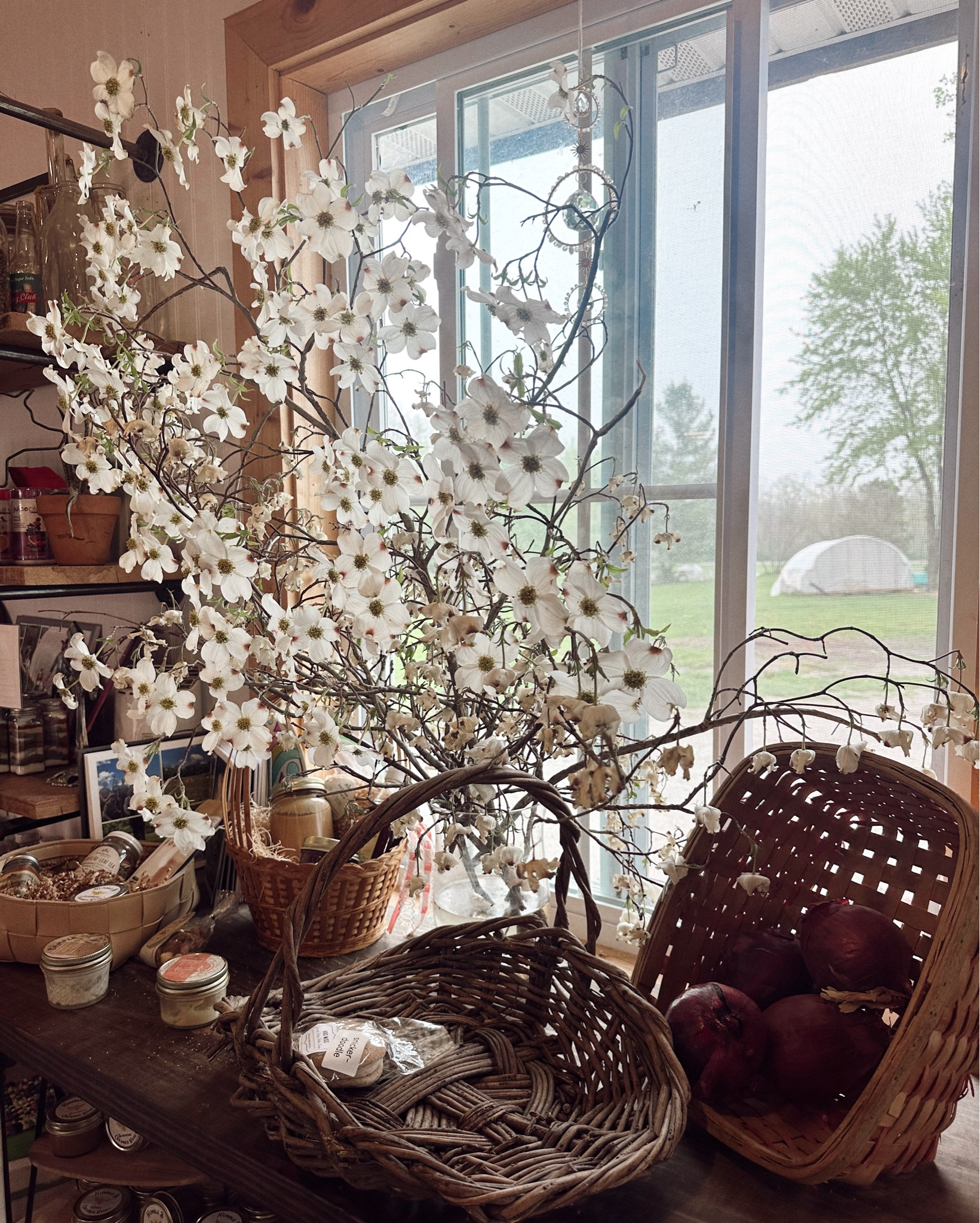 morning trip to the farm 🐓🧺