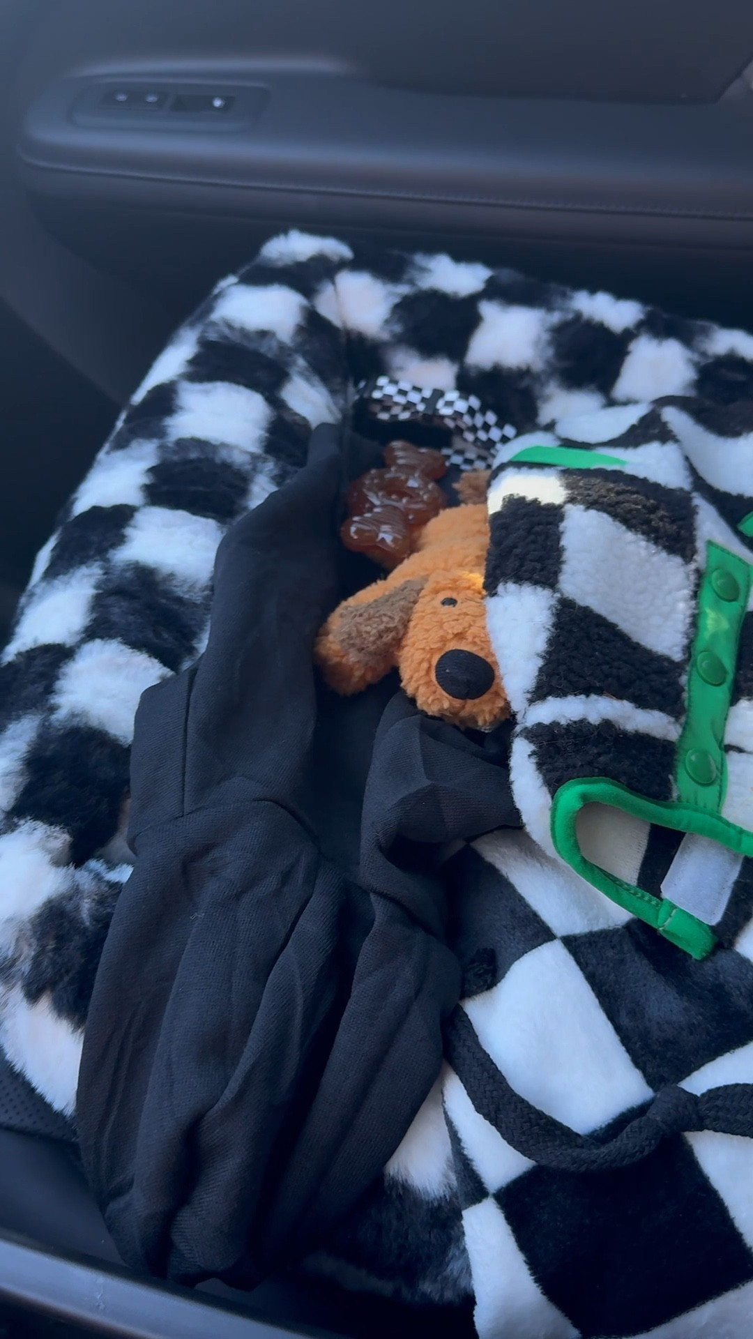 Some of the items I collected for our puppy 🖤🐶

#LTKPets