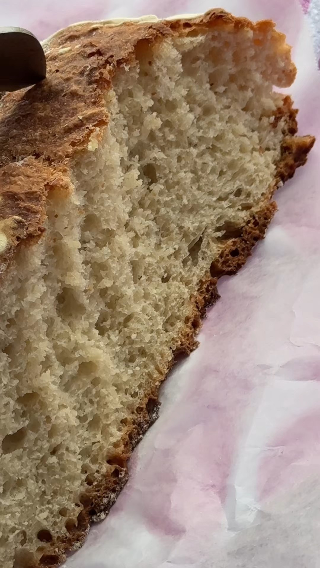 The Secret to the Perfect Rise ✨🥖
There is nothing more rewarding than the process of making bread from scratch! To get that perfect, airy rise and professional look at home, having the right essentials is a total game-changer.
I’m sharing all the must-haves from my video 🤩 from the high-quality proofing baskets that give the dough its shape to the linen liners and scoring tools I swear by for those beautiful artisan details. These are my go-to kitchen staples for anyone looking to master their sourdough or no-knead bread game.
Shop everything used in my bread-making routine below! 👇
#breadmaking #artisanbread #kitchenessentials #sourdoughhome #bakingtools #breadbaking #homemadebread #kitchenfavorites #satisfyingbaking #homebaker 

#LTKfoodie #LTKSaleAlert #LTKHome