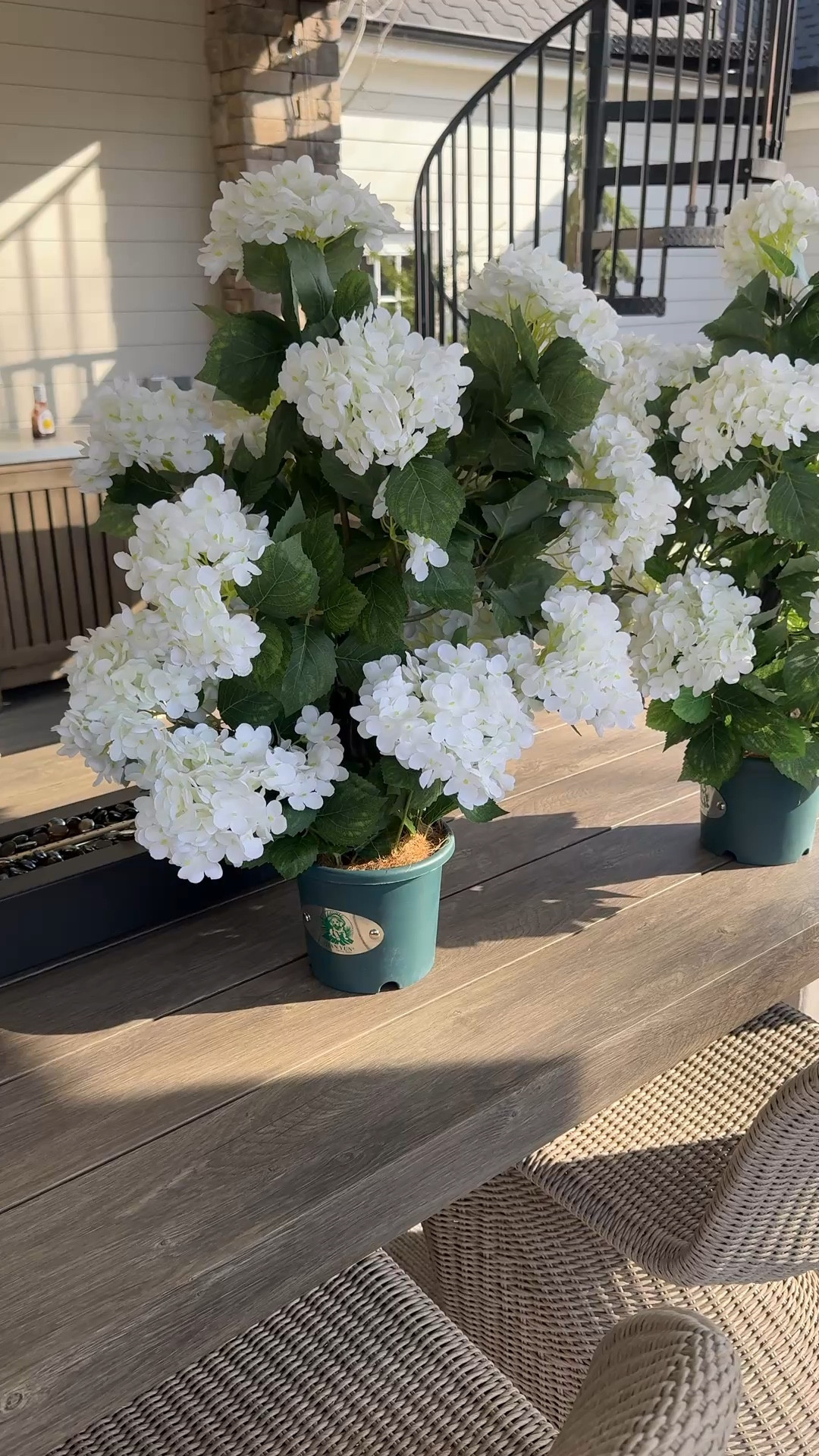 These are so good!! UV resistant hydrangeas for the win! 

#LTKSeasonal #LTKHome