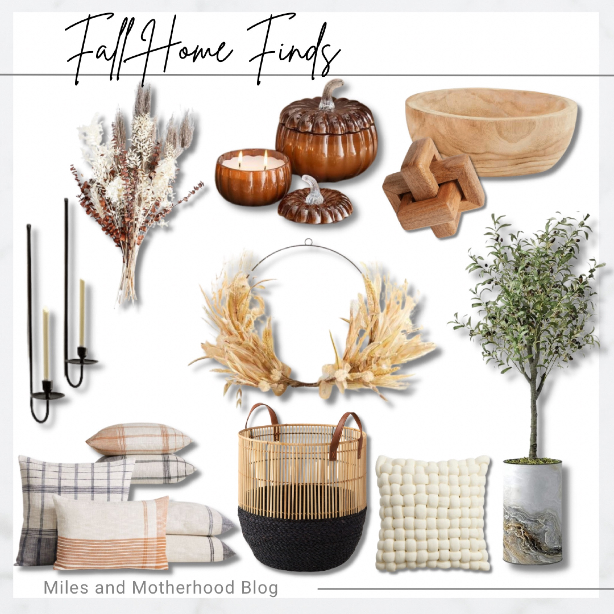 Beautiful fall home finds that go perfectly with spooky black and orange decor! 

#LTKhome #LTKstyletip #LTKSeasonal