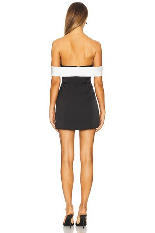 Jewel Mini Dress in Black | Revolve Clothing (Global)