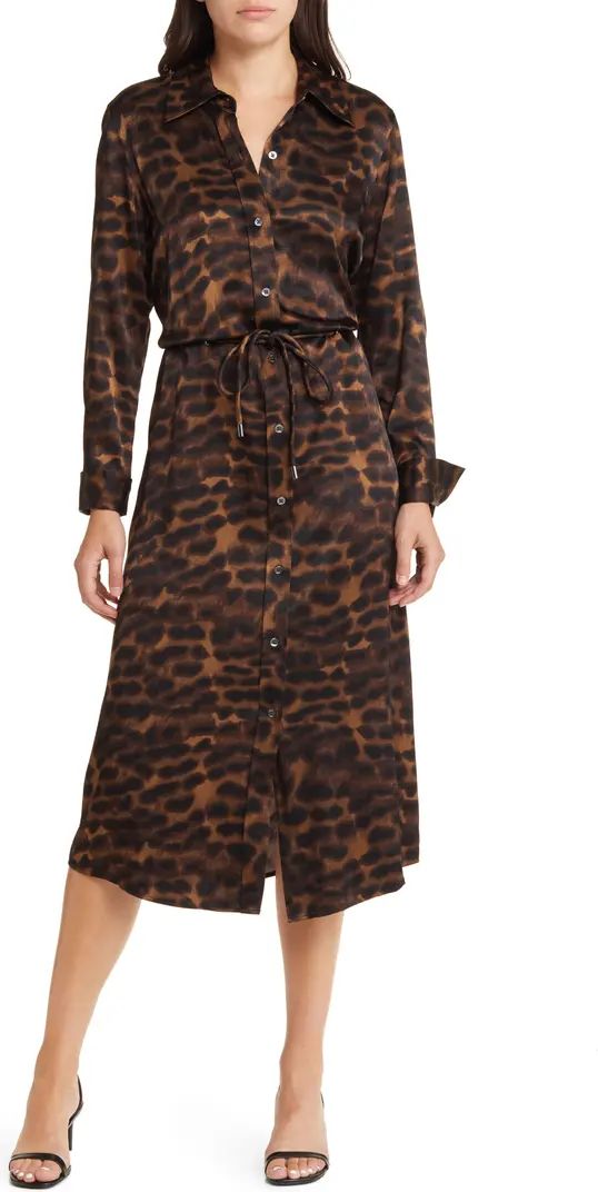 Anina Leopard Print Long Sleeve Midi Shirtdress | Nordstrom