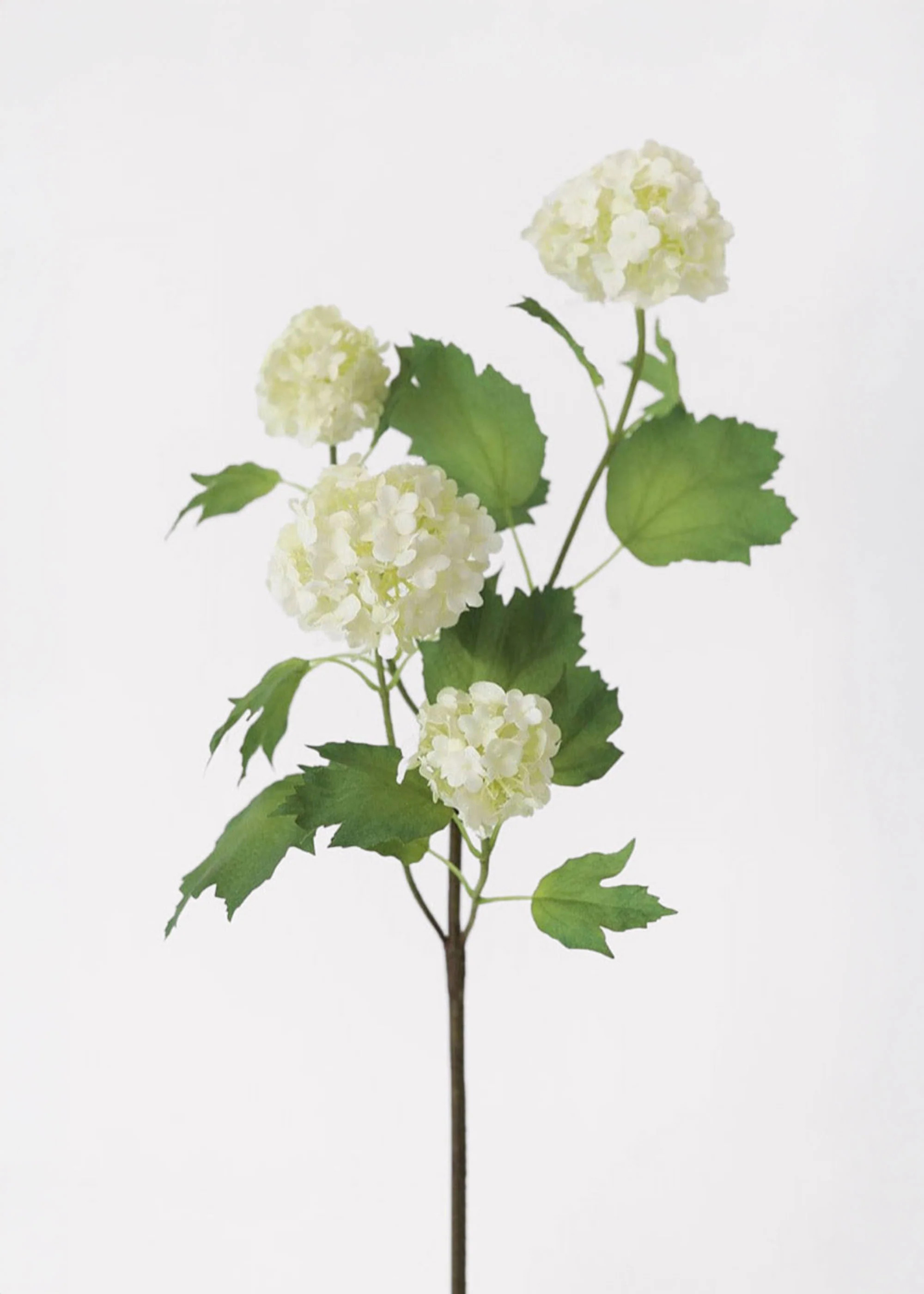 SAVE - Cream White Artificial Snowball Flowers - 24 | Afloral