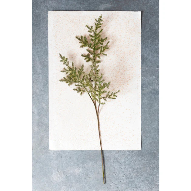 Fern + Moss Stems | Pepper + Vetiver