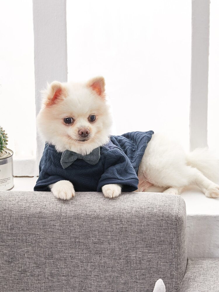1pc Dog Bow Decor Sweater | SHEIN