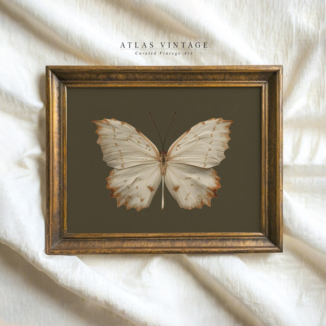 Vintage White Butterfly Print, Dark Moody Insect Printable Wall Art, Cottagecore Sage Green Fall ... | Etsy (US)
