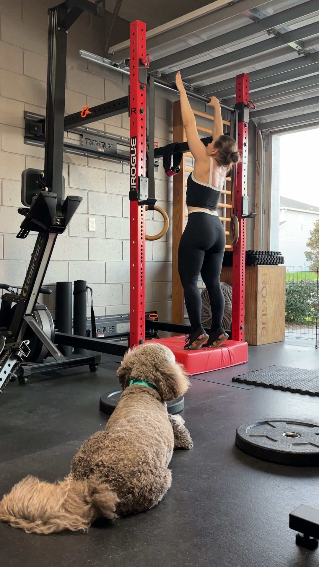 Matching fitness look with leggings in petite length- this was strict pull up number 30 and my pup coach is judging my quality 🫤