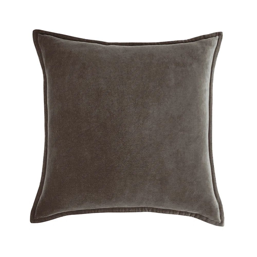 Beauty Acrylic Velvet Pillow | Wayfair | Wayfair North America