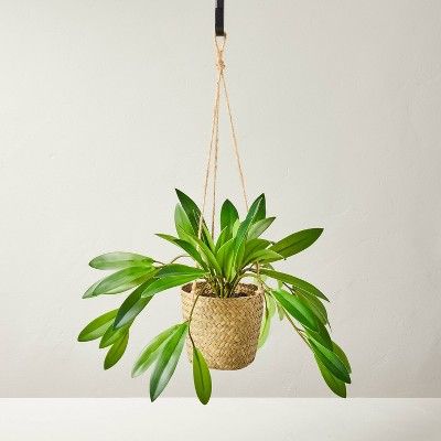 8" Faux Hoya Hanging Plant - Hearth & Hand™ with Magnolia | Target