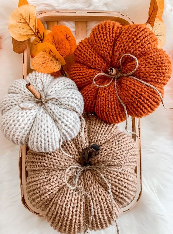 Fall Home Decor 3 piece pumpkin set knit pumpkins Tan | Etsy | Etsy (US)